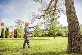 Best Emergency Tree Removal  in Newville, PA